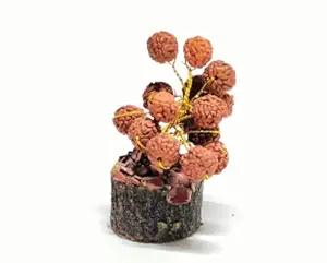 Buy buy puja kit online india - Best best puja kit - Click Pujan Coin Tree Vastu Feng Shui Money Tree for H Image