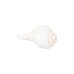 Click Pujan Shankh - Small 4" Blowable Shaded | Sangu Shankh | Sacred Small Conch Shell for Hindu Rituals | Lakshmi & Vishnu Blessings | Home Temple & Meditation