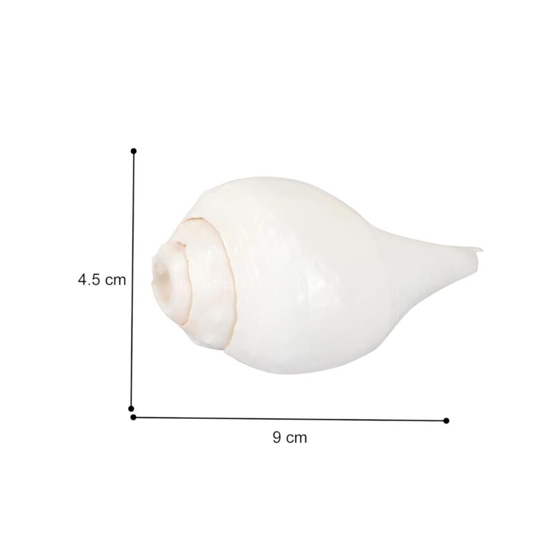 51dfOn8HXL. SL1500 1