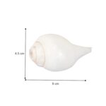 Click Pujan Shankh - Small 4" Blowable Shaded | Sangu Shankh | Sacred Small Conch Shell for Hindu Rituals | Lakshmi & Vishnu Blessings | Home Temple & Meditation - Image 3