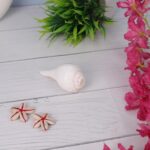 Click Pujan Shankh - Small 4" Blowable | Sangu Shankh | Sacred Small Conch Shell for Hindu Rituals | Lakshmi & Vishnu Blessings | Home Temple & Meditation - Image 4