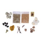 Click Pujan Shree Dhan Lakshmi Potli | ‎Kaudi, Gomti Chakra, Haldi Ganth, Kamal Gatta, Elaichi, Laung, Peeli Sarso, Sabut Dhaniya, Majitha | Ideal for Diwali, Dhanteras, Laxmi Poojan & Daily Worship